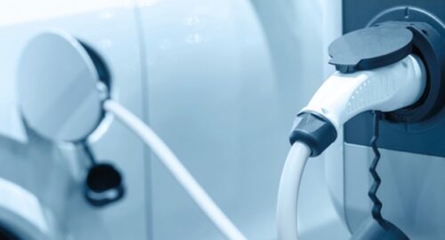 Bündner Baumeister Ausgabe 3/25